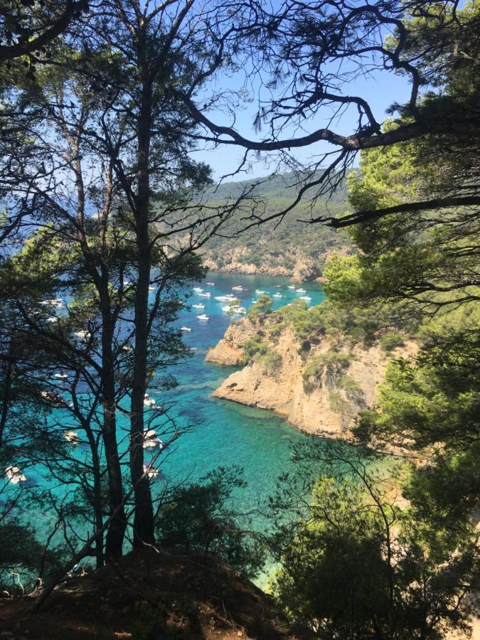 Studio Cosy Proche Mer サン・シル・シュル・メール エクステリア 写真